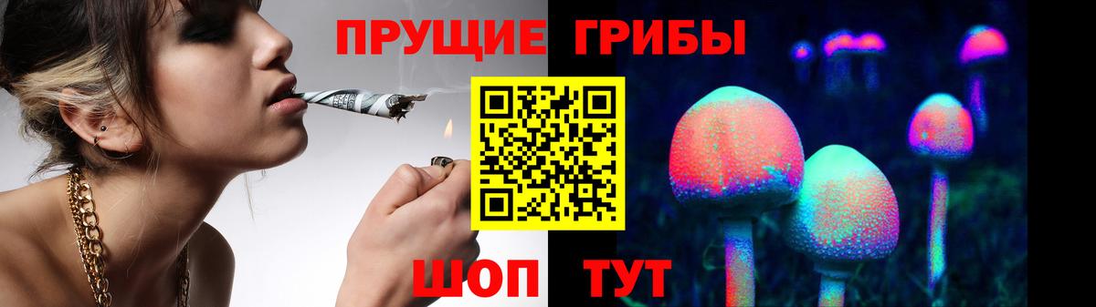 Бугульма  Псилоцибиновые грибы мицелий  Вход с VPN  Псилоцибиновые грибы прущие грибы 